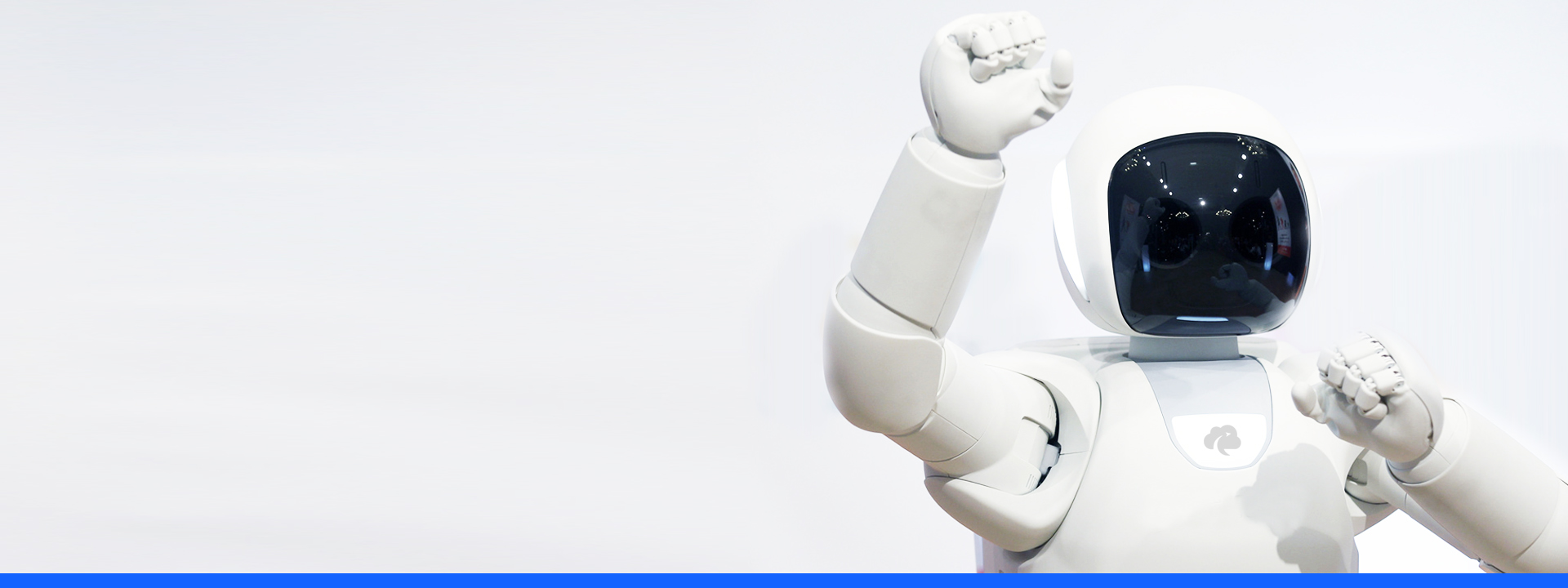 proveedor de hosting web y dominios